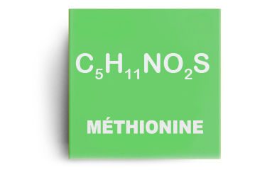 Méthionine