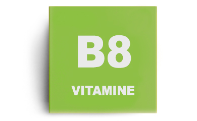 Vitamine B8 (biotine)