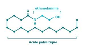 Palmitoyléthanolamide