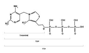 Vitamine B1 (thiamine)