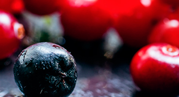 Les superfruits, un concentré d’antioxydants