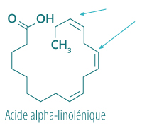 Acide alpha-linolenique