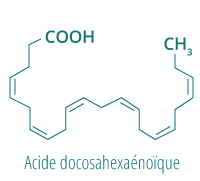 Acide docosahexaénoïque