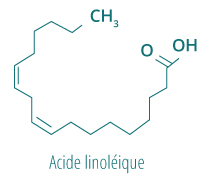 Acide linoleique