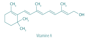 Molécule Vitamine A