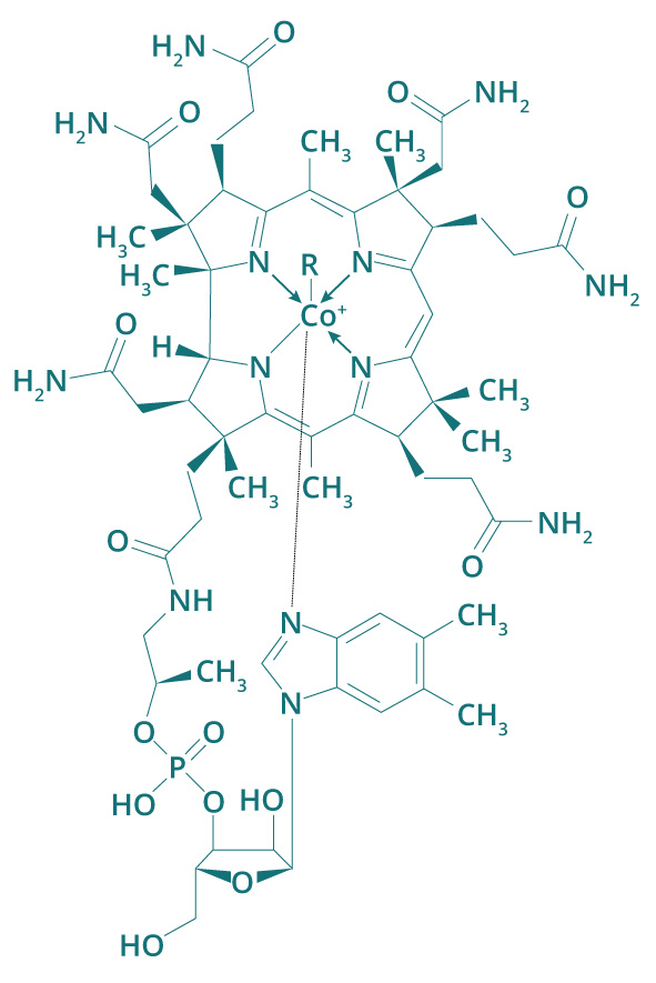 Molécule Vitamine B12