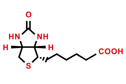 Molécule vitamine B8