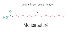 molécule monoinsaturée