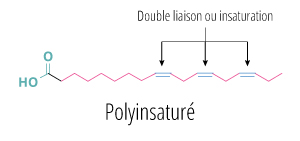 molécule polyinsaturée