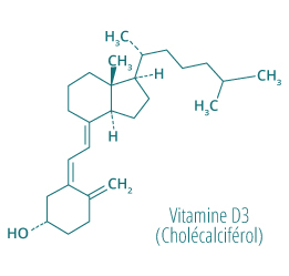 molecule-vitamine-d3