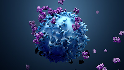 Cellule immunitaire
