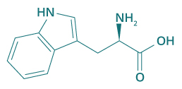 molécule tryptophane