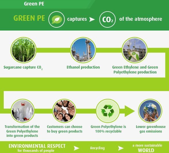 Infographie du Cycle I'm green